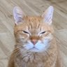 sasasa profil fotoğrafı