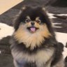 BangTannies_방탄⁷•|⊙⊝⊜'s profile picture
