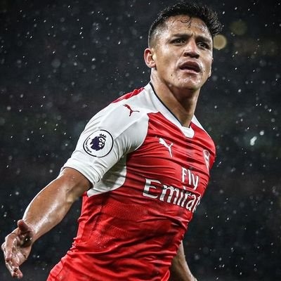 Shephadkay's profile picture