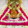 Фото профиля vandan mishra