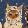 stervella's profile picture