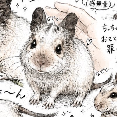 uttunn_ibs's profile picture