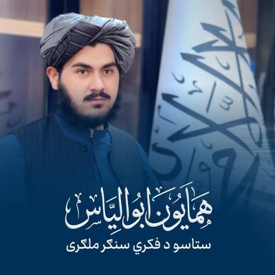 Hamayon Afghan's profile picture