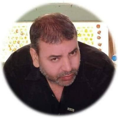 محسن محمد 🇪🇬's profile picture