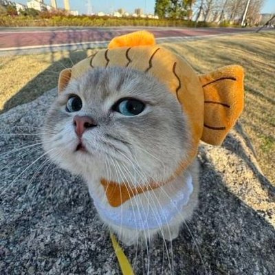 wngkh6424's profile picture