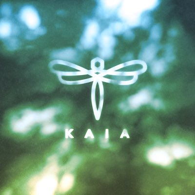 KAIA Official's profile picture