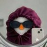 kia's profile picture