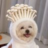 อช (แอคหลักปลิว)'s profile picture