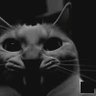 minchuphanumji profil fotoÄrafı