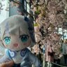 うりえるぅ ちくわ教 profil fotoğrafı