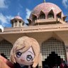 Profilbild von こーへい|ぬいと徒然なるままに