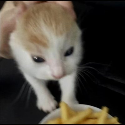 IUS831's profile picture