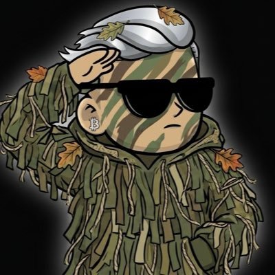𝗔𝗟𝗣𝗛𝗔 𝗡𝗙𝗧 🥇's profile picture