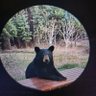 Sam Junhaman's profile picture