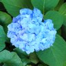 Фото профиля ぺこぽん🪞💎💙