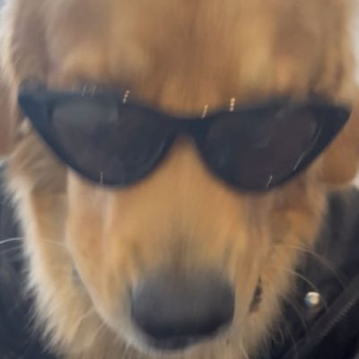 icutmyheart0's profile picture