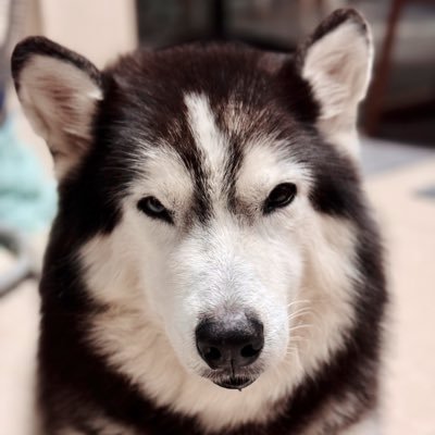 พี่ ไม่ ได้ ใส่ อา โร้ม ชน์'s profile picture