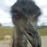 Becky! profil fotoğrafı
