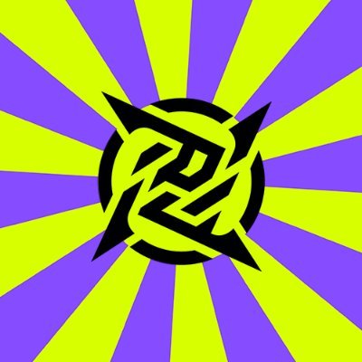 NIP Rocket League's profile picture