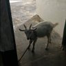 Bstimate's profile picture