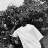 Ibrahim Dantata's profile picture