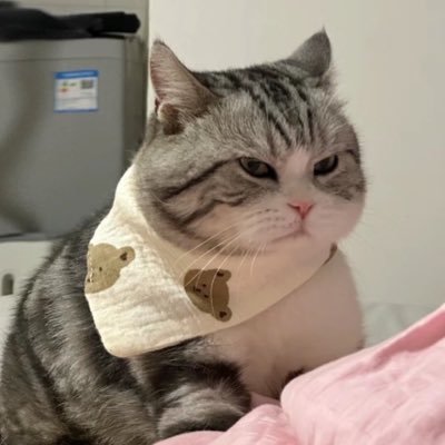 เดียร์รักไอ่แมวหน้าบึ้ง's profile picture