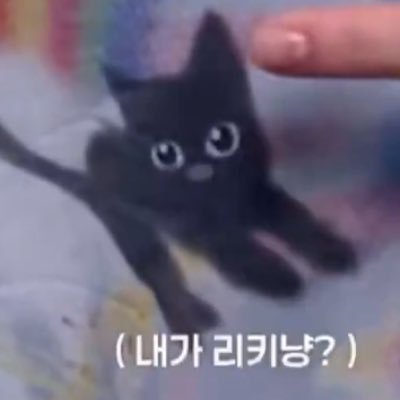 ring..🍓's profile picture