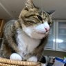 モ͙ト͙イ͙ profil fotoğrafı