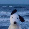 No Caption Mood's profile picture