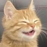 Profilbild von นาจา 🐣
