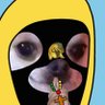 Profilbild von 𝖚𝖝𝖉𝖊𝖌𝖚𝖝