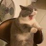 Profilbild von จอลอ