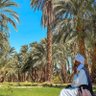 Ali Salah's profile picture