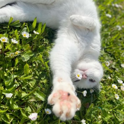 ta_ri_kaa's profile picture