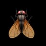 FlyOnTheWall's profile picture