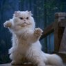 Фото профиля awesome_visuals
