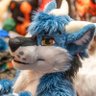 dirdwolf profil fotoğrafı