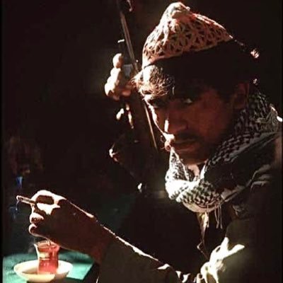 stranavesta's profile picture