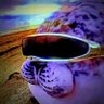 Mythos 🍉's profile picture