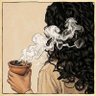 Profilbild von فَـــــــ🦋رٌاشّة