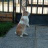ARG💗😊 profil fotoğrafı