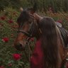 Umay 🇹🇷's profile picture