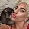 vó doutrina profil fotoğrafı