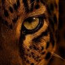 𝙼. 𝙴𝚍𝚞's profile picture