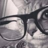 noby's profile picture