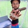 Dee Low's profile picture