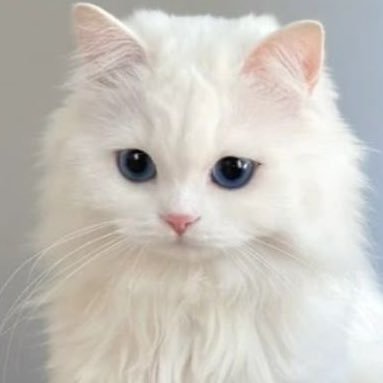 Bonnieee_u's profile picture