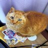 Profilbild von なべらーめん