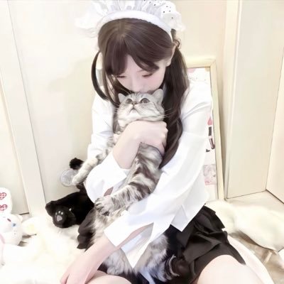 llllltangt's profile picture