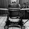 Profilbild von ...